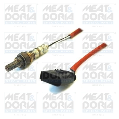 Oxygen Sensor
